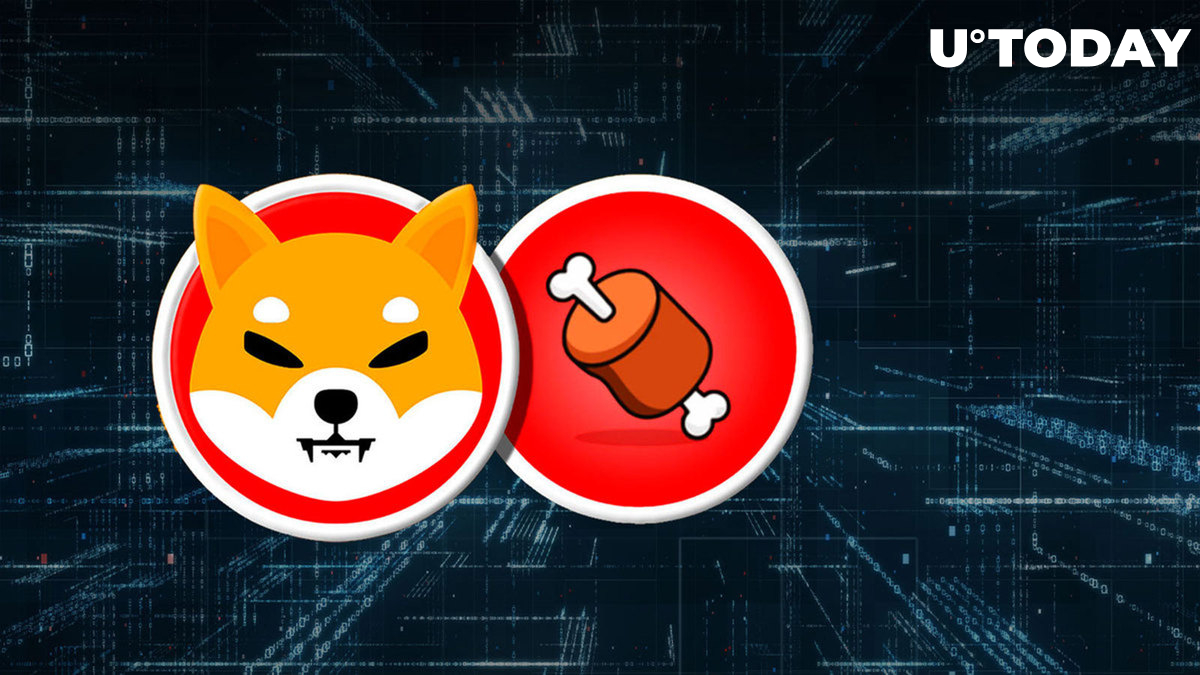 Shiba Inu's SHIB و BONE ویژگی جدید Killer را در این برنامه دریافت می کنند